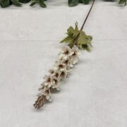 IMG_0828