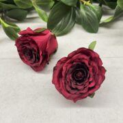 IMG_0846