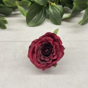 IMG_0847