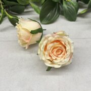 IMG_0850