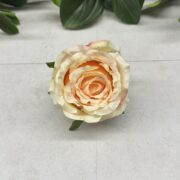 IMG_0851