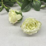 IMG_0852