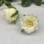 IMG_0854