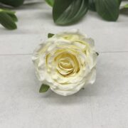 IMG_0855