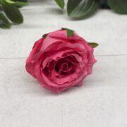 IMG_0914