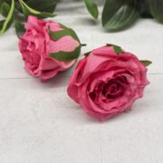 IMG_0915
