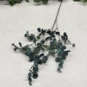 IMG_1054