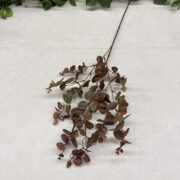 IMG_1058