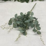 IMG_1070