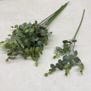 IMG_1075