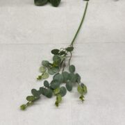 IMG_1076