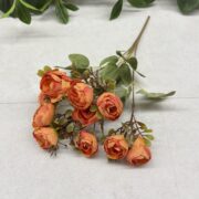 IMG_1177