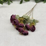 IMG_1182