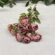 IMG_1183