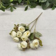 IMG_1184