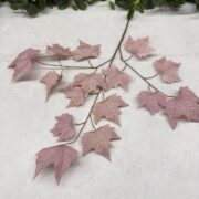 IMG_1242