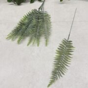 IMG_1247