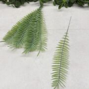 IMG_1250