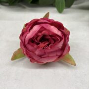 IMG_5091