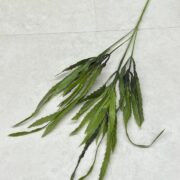 IMG_8570