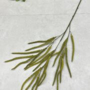 IMG_8575