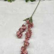 IMG_8588