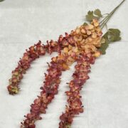 IMG_8861