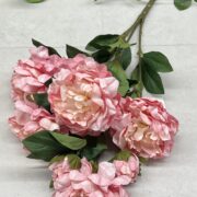 IMG_8975