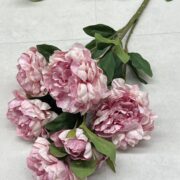 IMG_8976