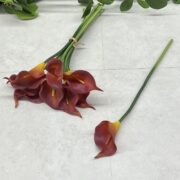 IMG_9006