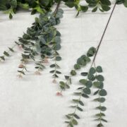 IMG_9021