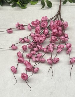 Bukiet Camelia Zwis FMC074728