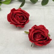 IMG_9104