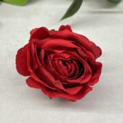 IMG_9105