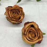 IMG_9106