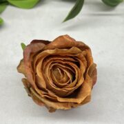 IMG_9107