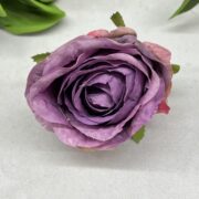 IMG_9114