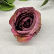 IMG_9117