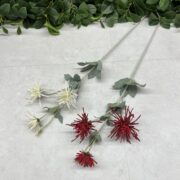 IMG_9278