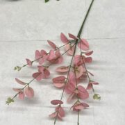 IMG_9289