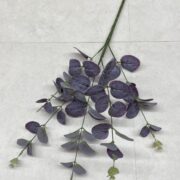 IMG_9290