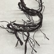 IMG_9385