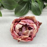 IMG_9803