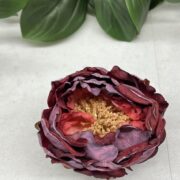 IMG_9806