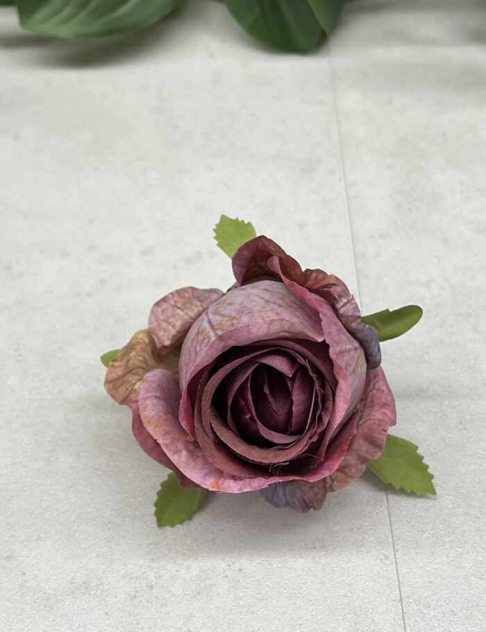 IMG_9850