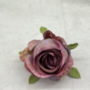 IMG_9850