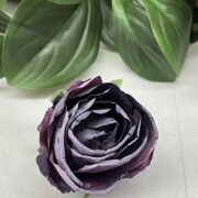 IMG_9859