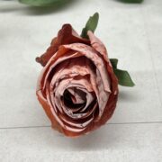 IMG_9867