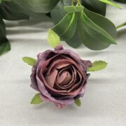 IMG_9900