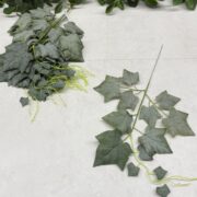 IMG_1309